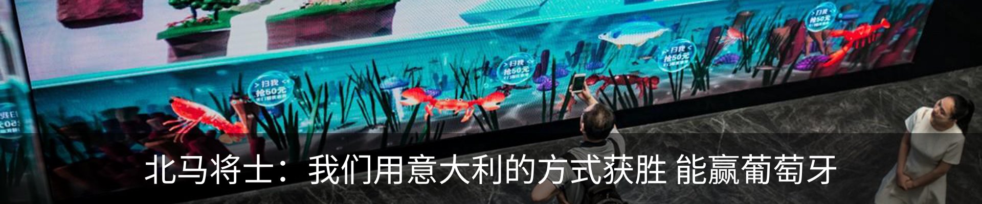 新闻动态