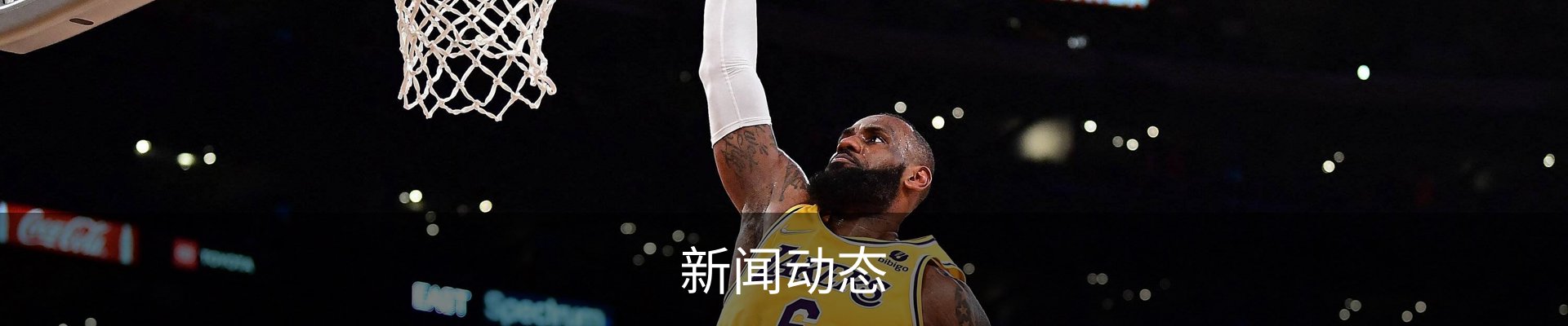 新闻动态